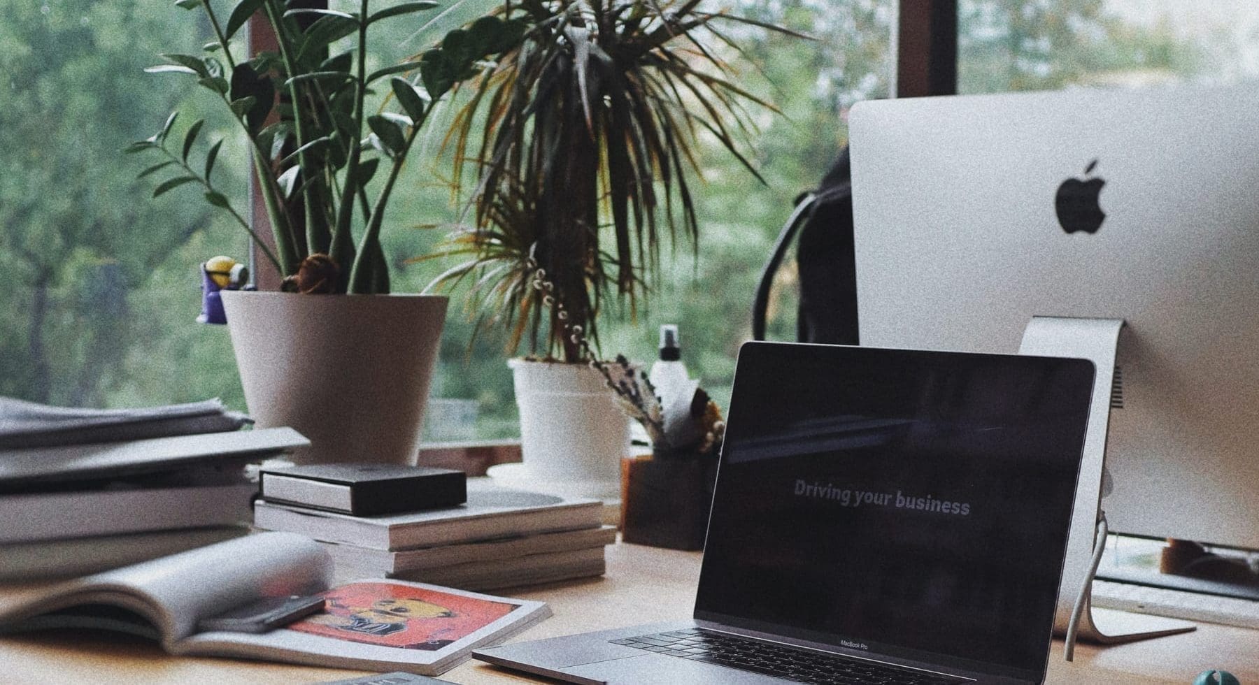 a workstation with plants, books, and computer